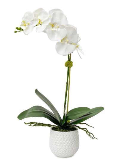 Uttermost Cami White Orchid