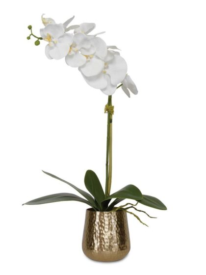 Uttermost Cami Orchid With Brass Pot