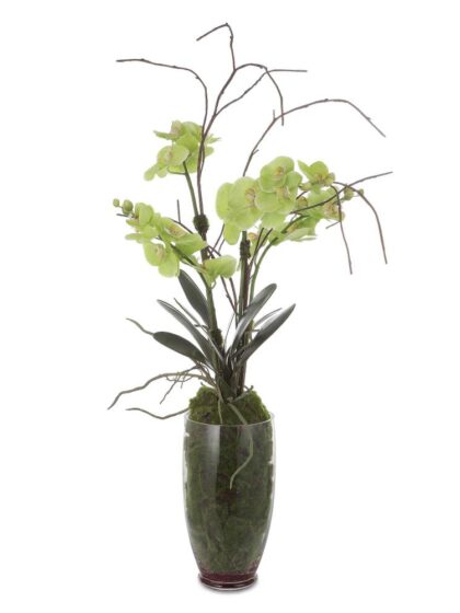 Uttermost Valdive Orchid