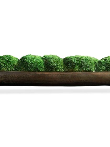 Uttermost Canal Moss Small Centerpiece