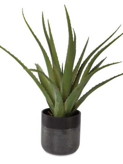 Uttermost Tucson Aloe Planter
