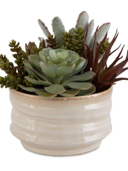 Uttermost Mesa Succulent Accent