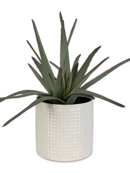 Uttermost Taos Aloe Centerpiece