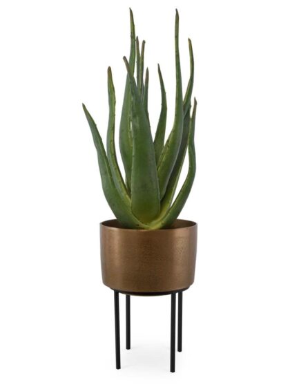 Uttermost Arabia Aloe Planter