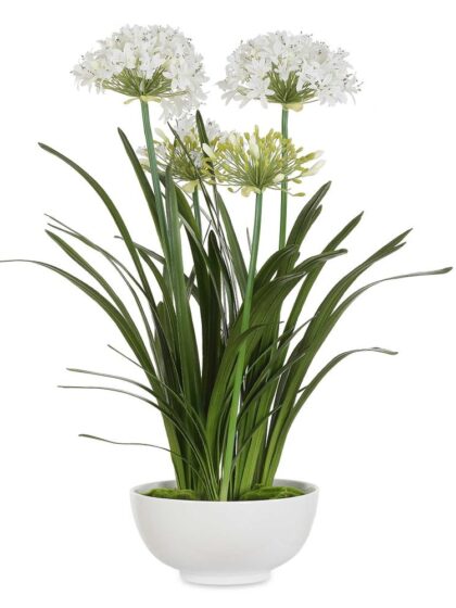 Uttermost Purity Agapanthus Centerpiece