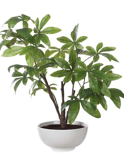 Uttermost Pachira Money Tree