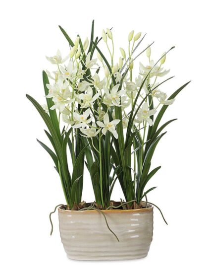 Uttermost Ariana Orchid Planter