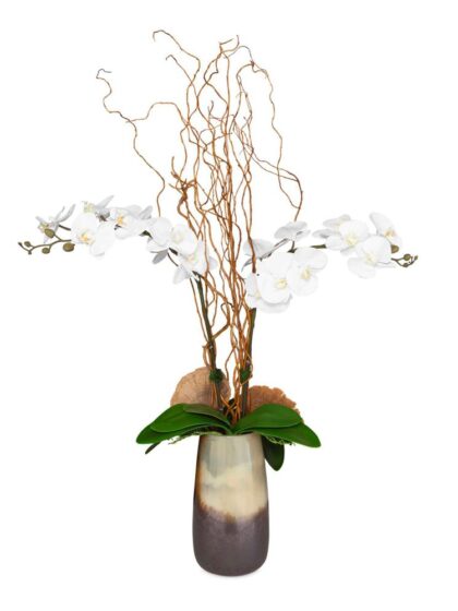 Uttermost Earthbound Orchid With Vase