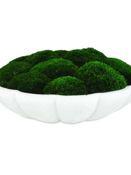 Uttermost Awaken Moss Centerpiece