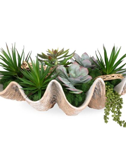 Uttermost Seaside Breeze Succulents