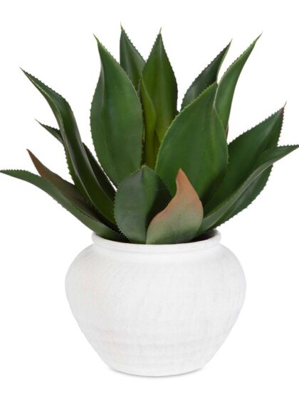 Uttermost Tierra Agave Centerpiece With Vase