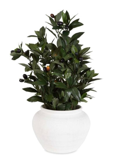 Uttermost Elena Olive Centerpiece