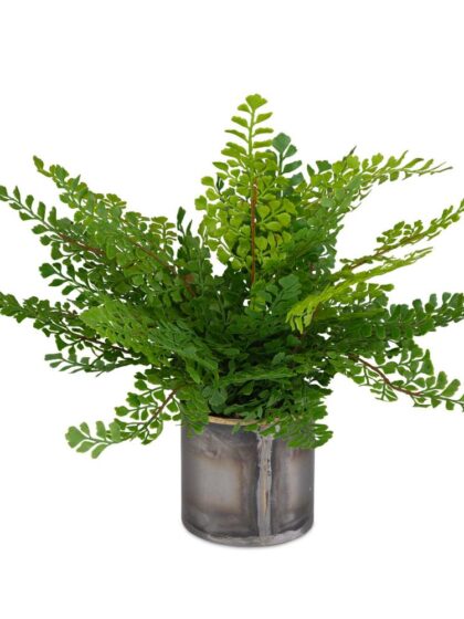 Uttermost Maidenhair Fern In Oxidized Container