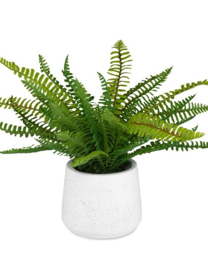 Uttermost Boston Fern In White Ceramic Pot