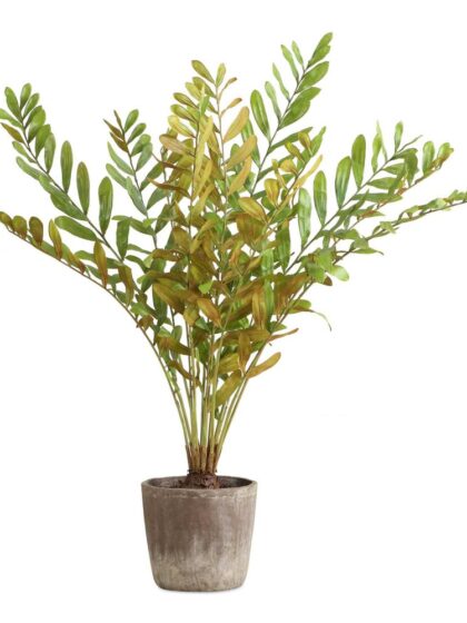 Uttermost Zamia Palm Accent In Planter