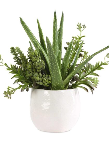 Uttermost Sundown Succulent Accent Planter