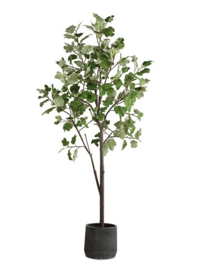 Uttermost Eden Potted Fig Tree
