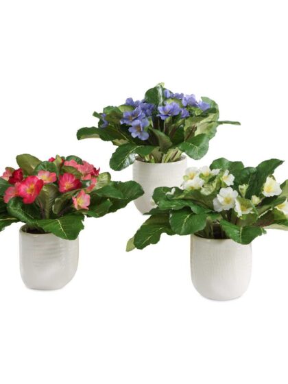 Uttermost Trilogy Primrose Accents In Vases Set/3