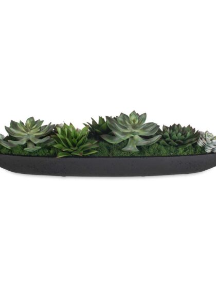 Uttermost Verde Succulent Centerpiece In Bowl