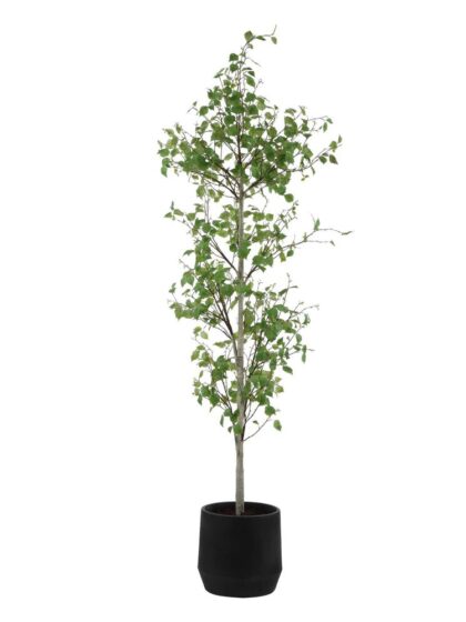 Uttermost Boreal Potted Birch Tree
