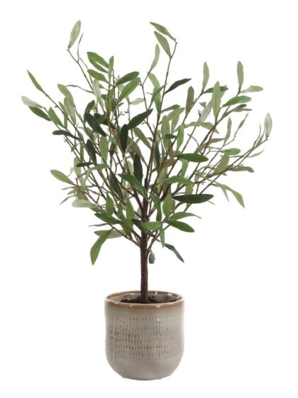 Uttermost Solea Olive Accent & Textured Vase