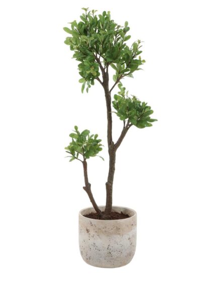 Uttermost Arbor Strawberry Tree