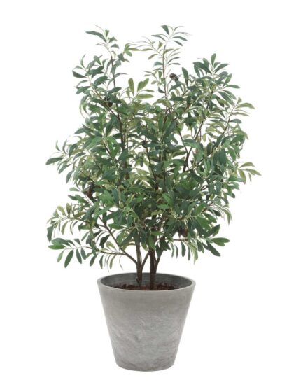 Uttermost Marisol Potted Olive Plant