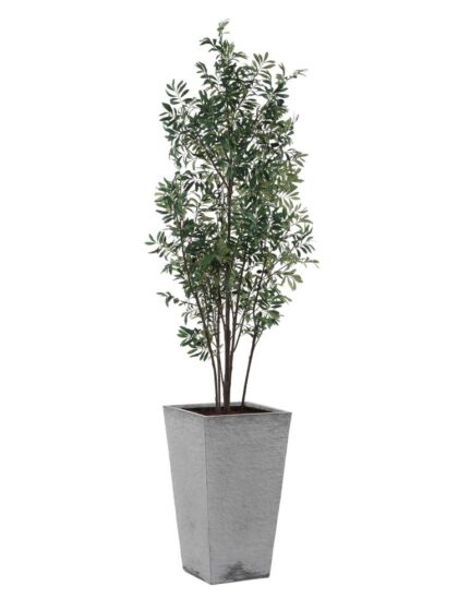 Uttermost Sonora Olive Tree In Planter