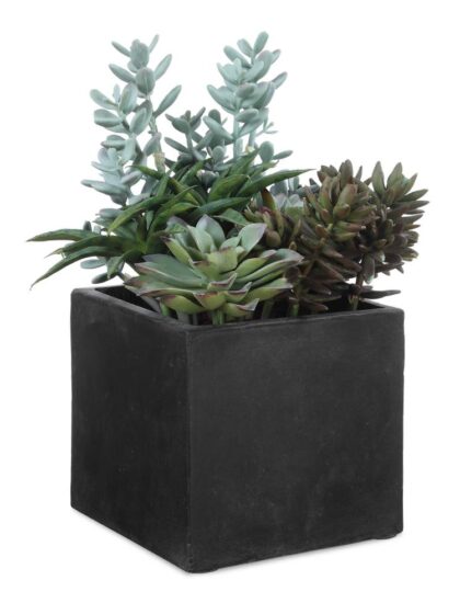 Uttermost Greystone Indoor-Outdoor Succulent