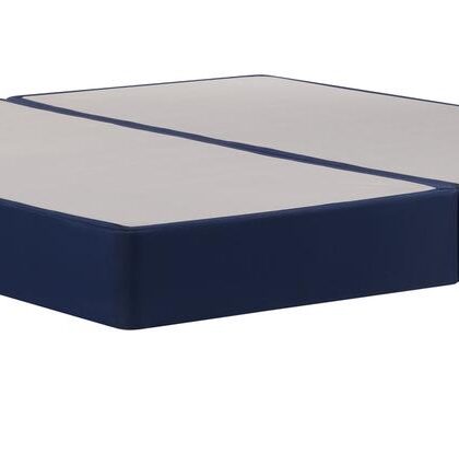 Sealy 2025 Foundation High Profile Twin Long